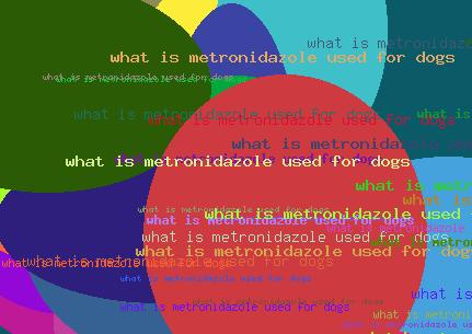 What Is Metronidazole Used For Dogs